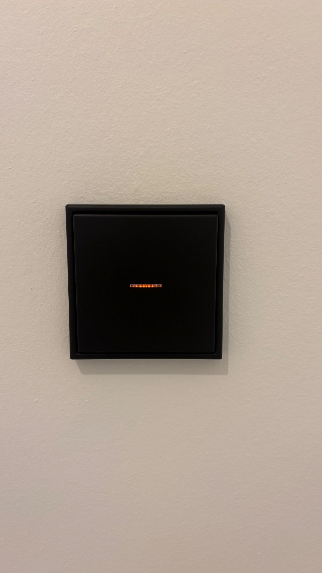 JUNG LS 990 Matte Black — Interrupteur + LED
